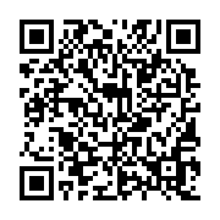 QR code for X95-31N