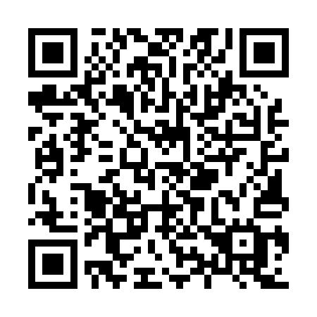 QR code for plate X95-01G
