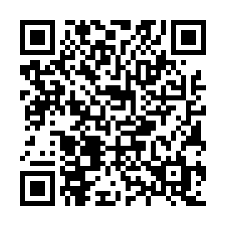 QR code for X9542L