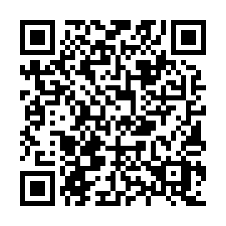 QR code for X9581X