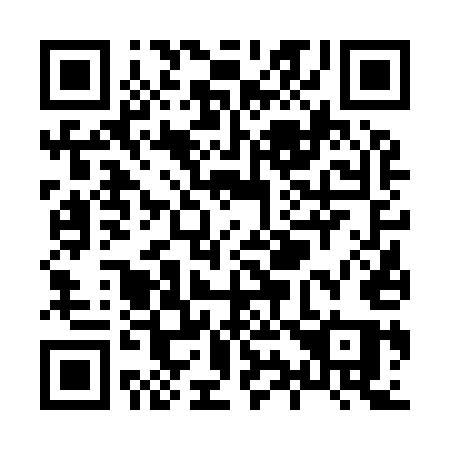 QR code for X96-95Q