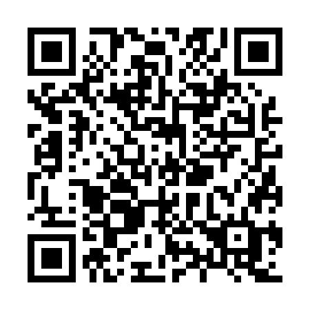 QR code for plate X96-07D