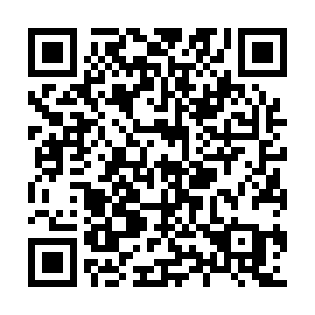 QR code for plate X96-12A