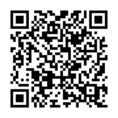 QR code for plate X99-53B