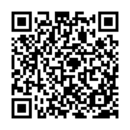 QR code for plate XCJ-384