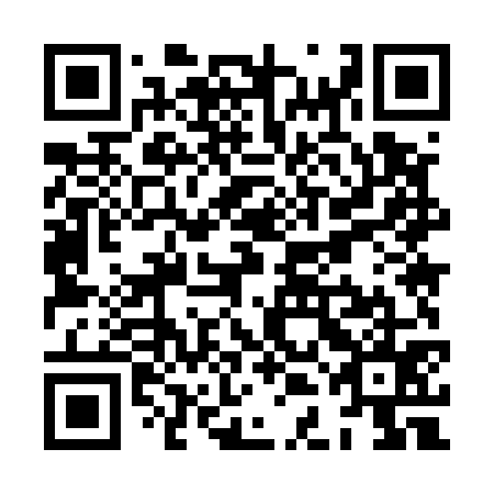 QR code for XDM-575