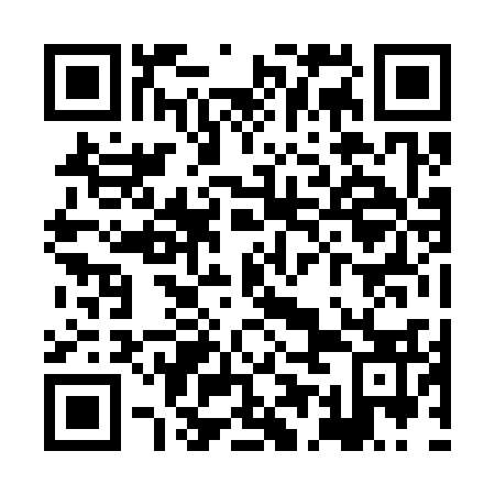 QR code for plate XEJ-333