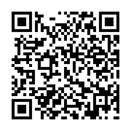 QR code for plate XEL-339