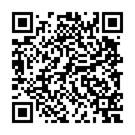 QR code for XFL411