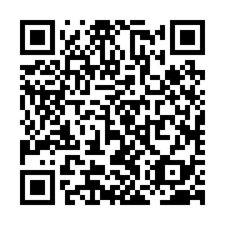QR code for XGR239