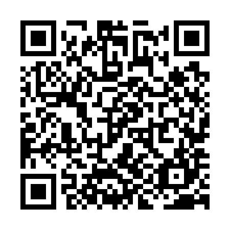 QR code for plate XIN-784