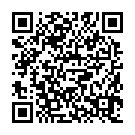 QR code for plate XIQ-384