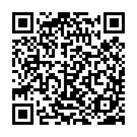 QR code for XIR441