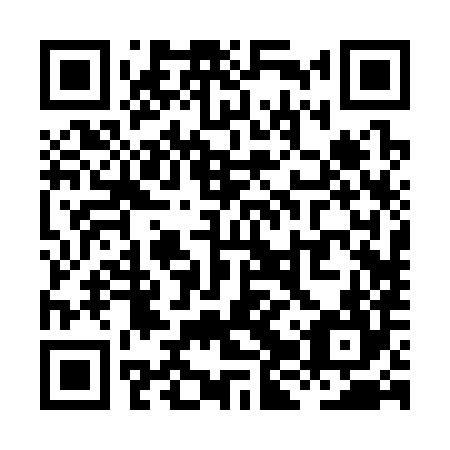 QR code for XJR-384