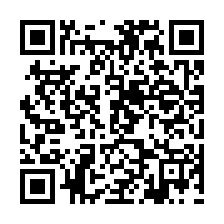 QR code for plate XLK-307
