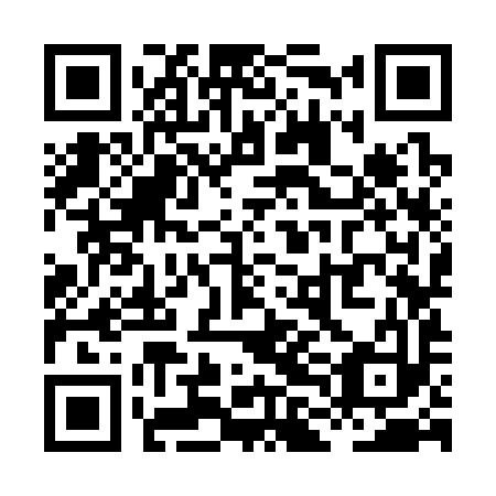 QR code for XLK393
