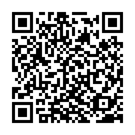 QR code for plate XLU-238