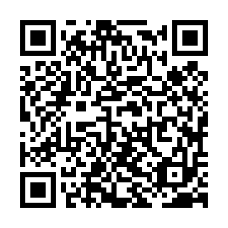 QR code for XLZ-413
