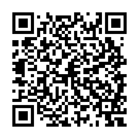 QR code for XQN381