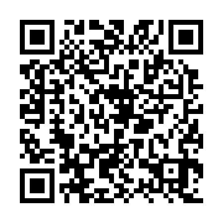 QR code for plate XSV-333