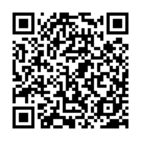 QR code for plate XWR-500
