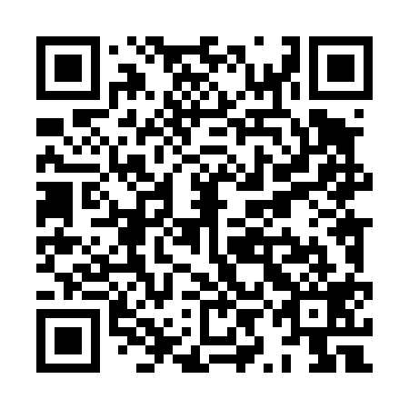QR code for XYL419