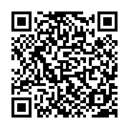 QR code for XYN095