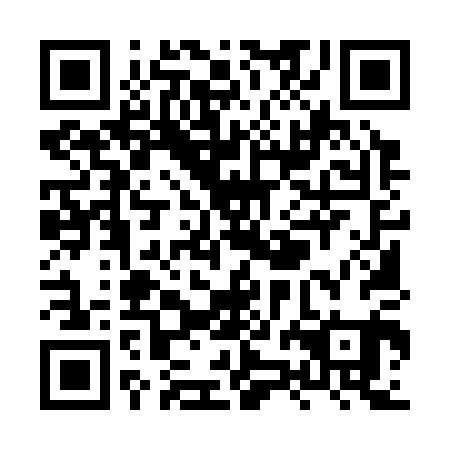 QR code for plate XZM-301