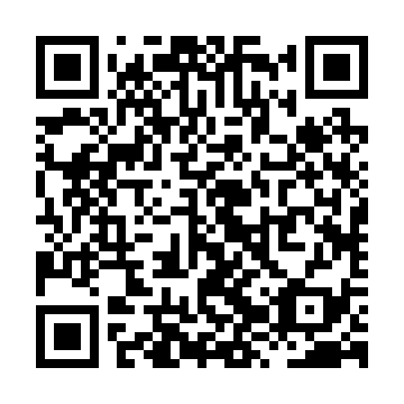 QR code for plate XZR-239