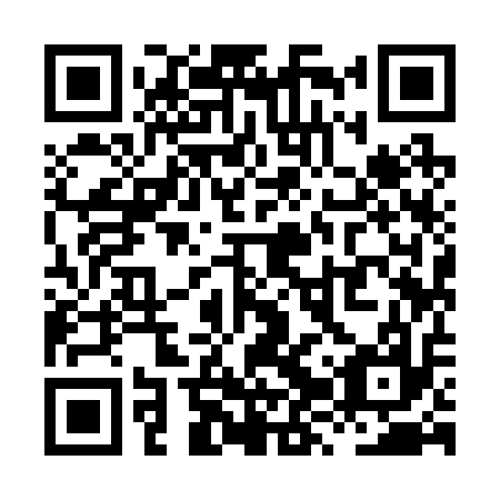 QR code for plate XZY-217