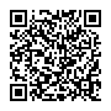 QR code for Y11-81N