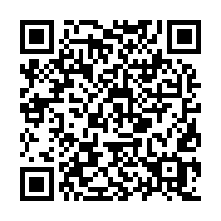 QR code for plate Y13-95G