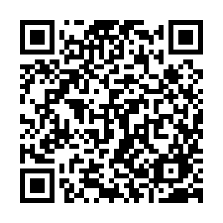 QR code for Y2919G