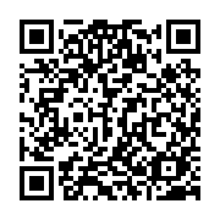 QR code for plate Y29-20M