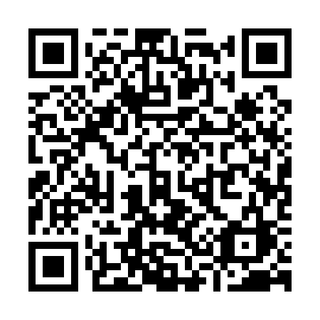 QR code for Y3113C