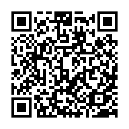 QR code for Y38-28Q
