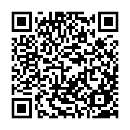 QR code for Y4299D
