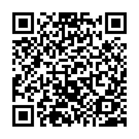 QR code for Y9385Z