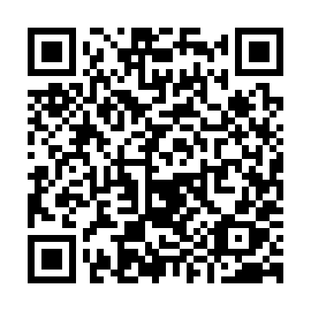 QR code for Y95-38X