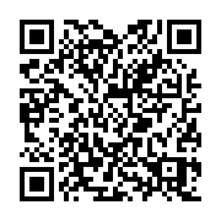 QR code for Y9603S
