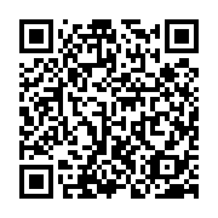 QR code for plate YGQ-538