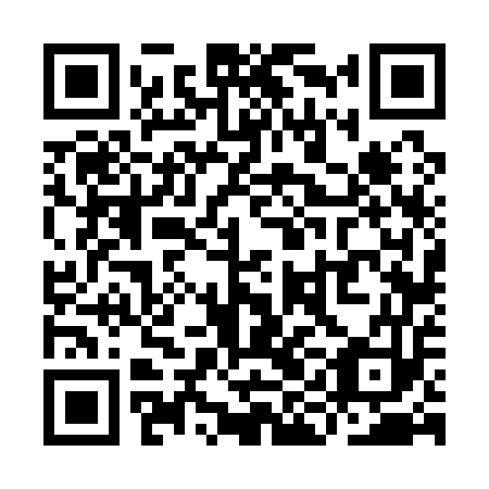 QR code for plate YIF-153