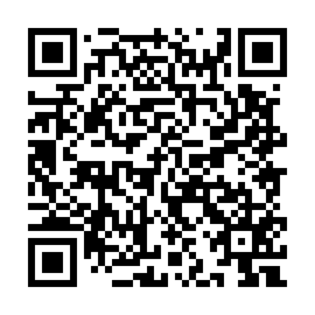 QR code for plate YJX-555