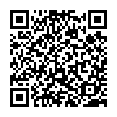 QR code for YLV-641