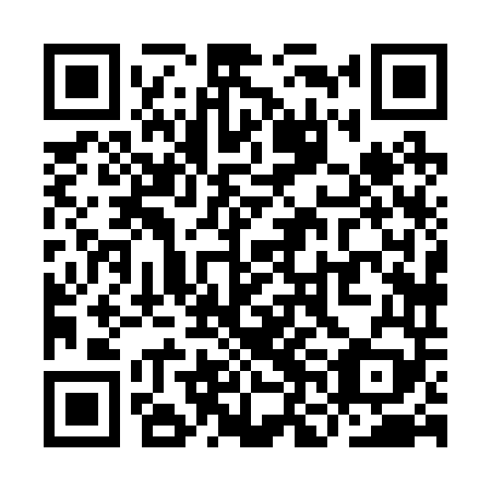 QR code for plate YNH-249