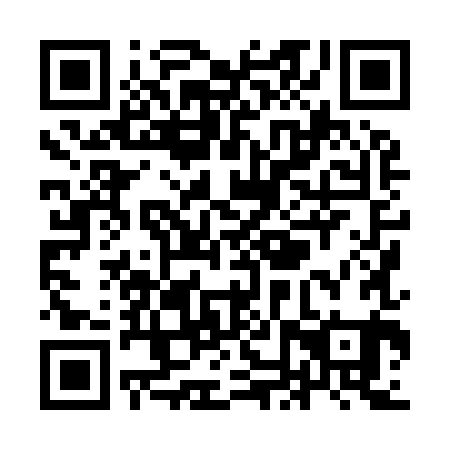 QR code for YNX981
