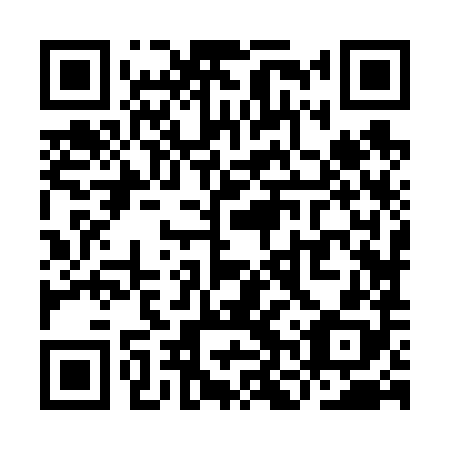 QR code for plate YNZ-688