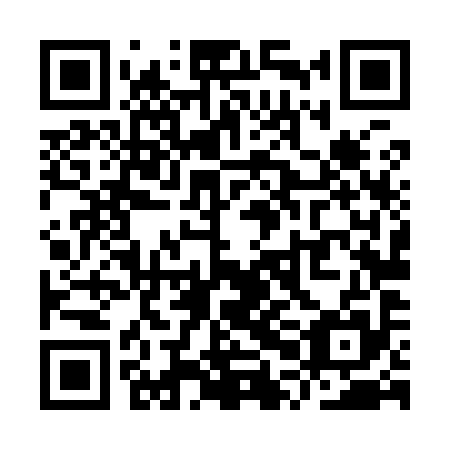 QR code for plate YPL-995