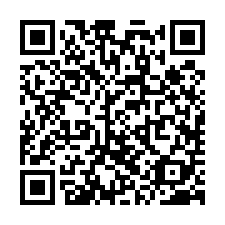 QR code for plate YQR-509