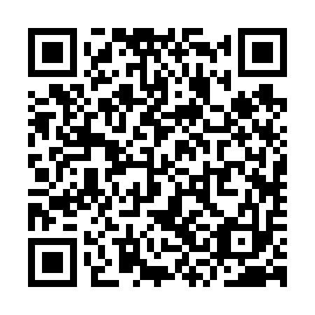 QR code for plate YSB-613
